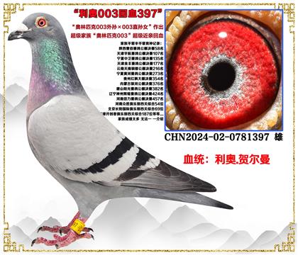 صƼ003003ֱŮѪ
