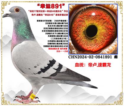 ¬.ٰ֪17ԽX848ֱŮ