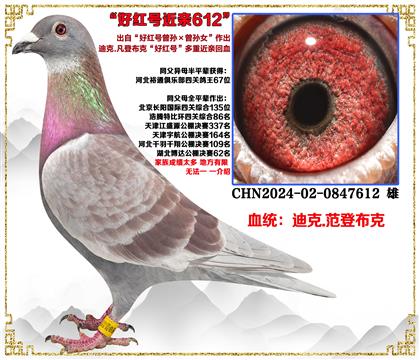 Ͽ.ǲˡúŮ