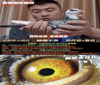 컨塷ƥӥ