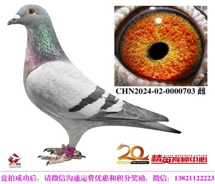 凡登布克家族高代近亲种雌