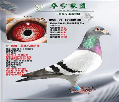 盖比闪电号直子X超级罗密欧直女