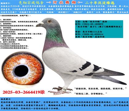 衱ֱX11111ֱŮ