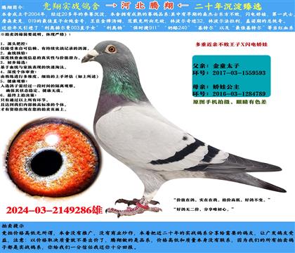 ƼʯɣʿܽͯX罿޶ؽָ
