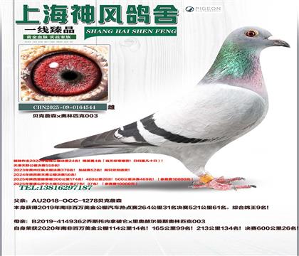 ϷǸ9Ӵ³ӣ