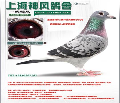 ѻض9xƥ006