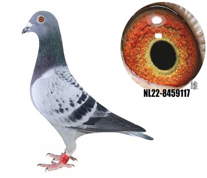 ƿֿ˸ر1ֱ