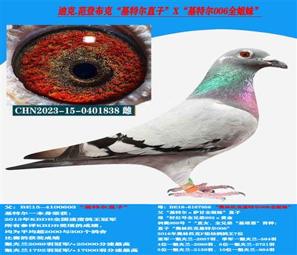Ͽ ǲˡضֱXض006ȫ