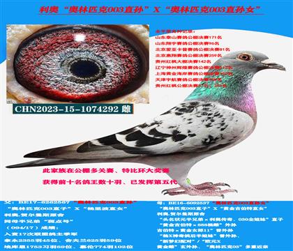 ¡ƥ003ֱXƥ003ֱŮ