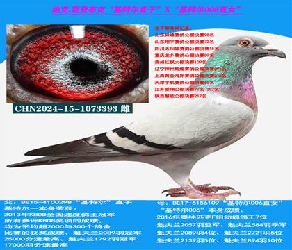 ǲˡضֱXض006ֱŮ