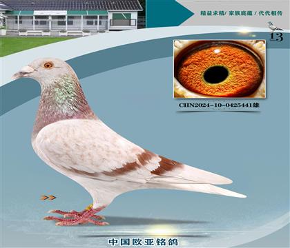 Ͽ.ǲ387X롰ض401ĸ