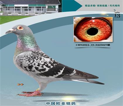 롰Xš019