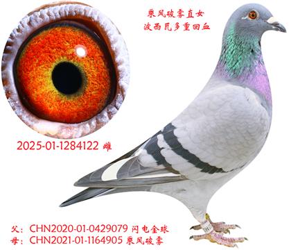 ˷ֱŮ