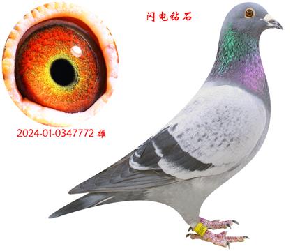 ʯ
