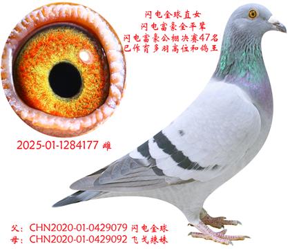 縻