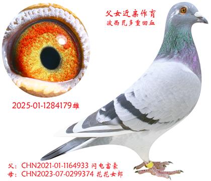 縻