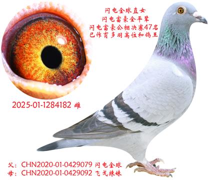 ֱŮ