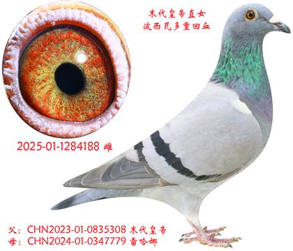 188