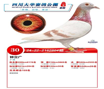 Ĵ󻪹վ53030