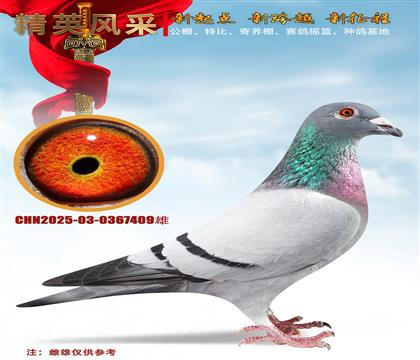ʯɣʿ ֱָ
