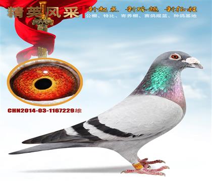 ʯɣʿۡ罿