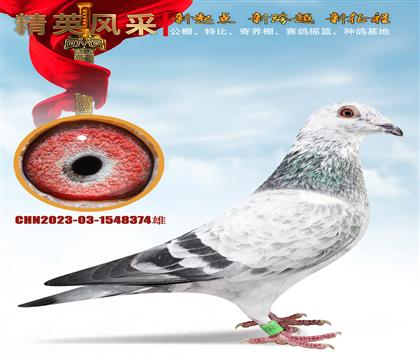 ̩šû