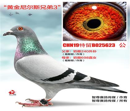698