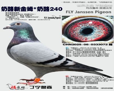 奶酪新金姆/奶酪240