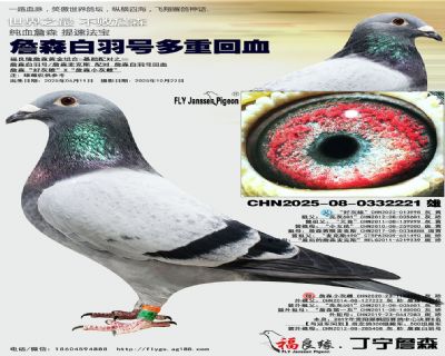 詹森白羽号多重回血