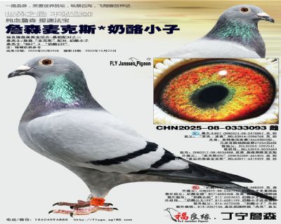 詹森麦克斯/奶酪小子