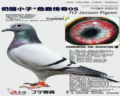 奶酪小子/詹森传奇05