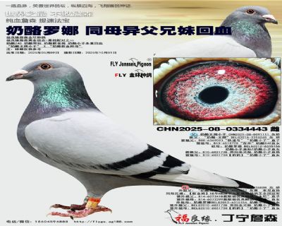 奶酪罗娜 同母异父兄妹回血