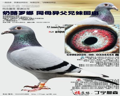 奶酪罗娜 同母异父兄妹回血