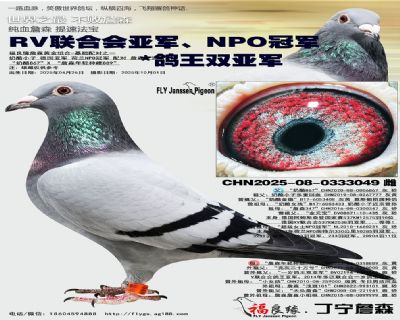 RV联合会亚军、NPO冠军