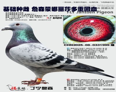 詹森蒙娜丽莎回血