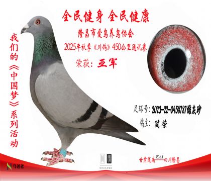 22023-22-0458787ۻɰ -2