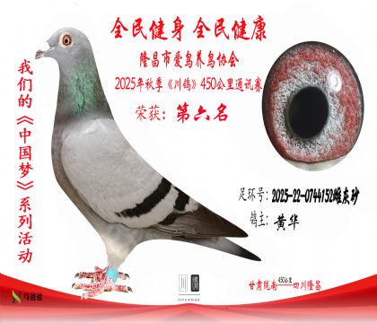 6ƻ2025-22-0744152ƻɰ-6