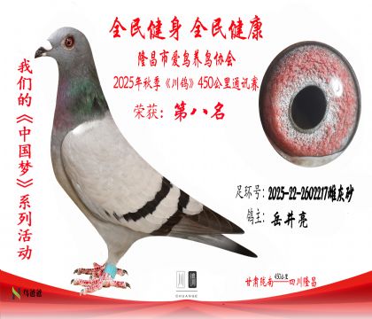 82025-22-2602217ƻɰ-8