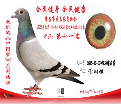 11л2025-22-0741434ƻһ11 