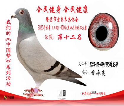 122025-22-0741275ƻɰ12 