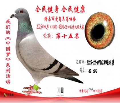 152025-22-0741731ƻһ15 