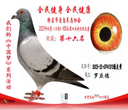 162025-22-0741512ۻһ 