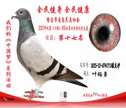 17Ҷ2025-22-0741713ۻɰ17 