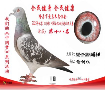 18л2025-22-0741435ɰ 