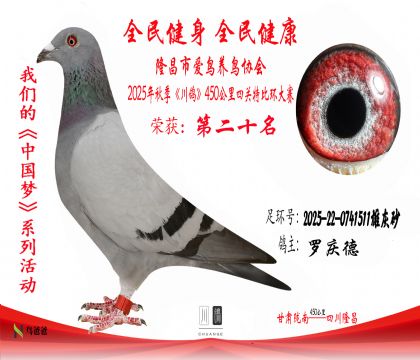 202025-22-0741511ۻɰ20 