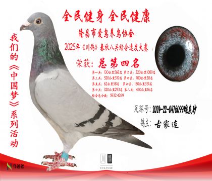 4ż2024-22-0476099ƻɰ 