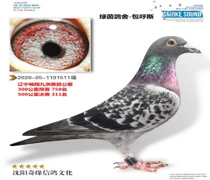 畅翔九洲公棚决赛311名