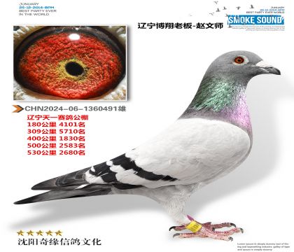 辽中博翔老板赵文师