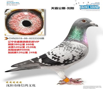 忠盛VIP公棚249名(天霸公棚刘刚)