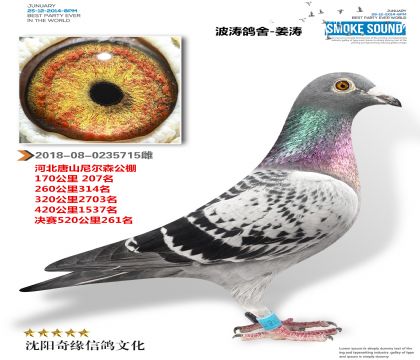 唐山尼尔森公棚决赛261名